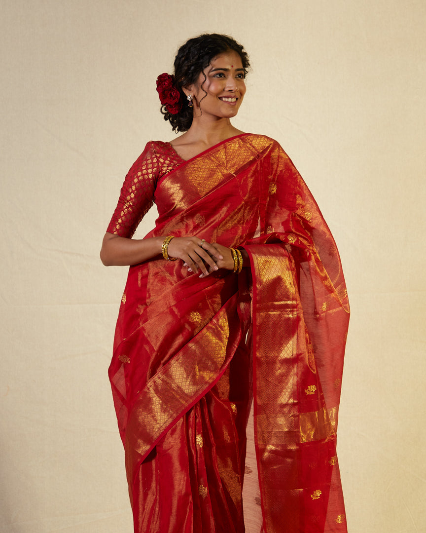 Red Maheshwari Tissue Saree With Gold Zari Border